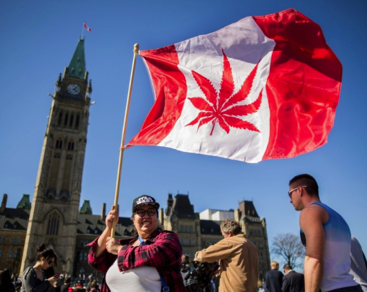 カナダの大麻に関する次のステップと国連薬物条約