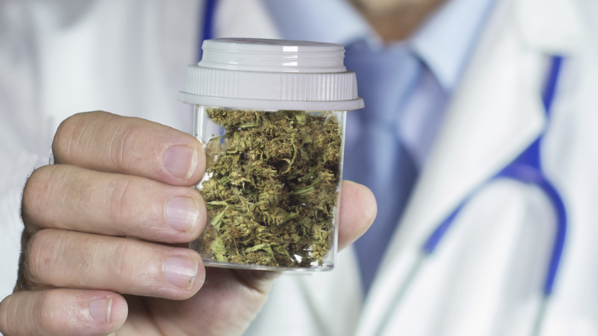 マルタが正式に医療大麻を合法化