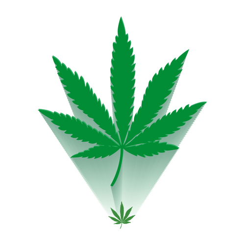 医療大麻の啓蒙を行う団体Project CBDを紹介！