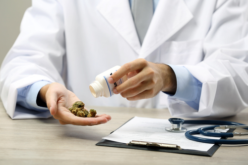 科学で検証された大麻と健康に関する11の発見