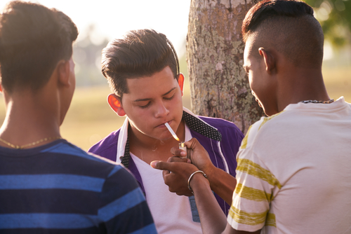 研究報告： 十代の大麻常習とその後の健康問題の因果関係