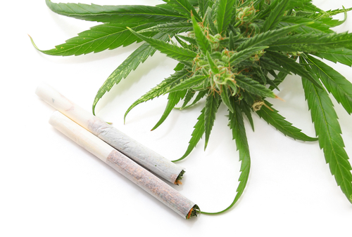コロラド州が違法な大麻広告を取り締まる法案を承認