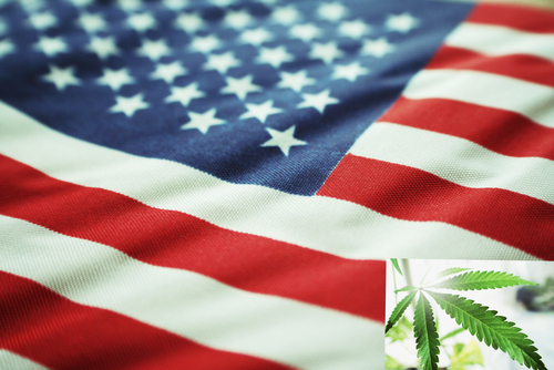 医療大麻合法化の波、米連邦にも