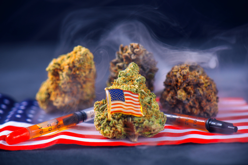 大麻禁止支持者が主張する5つの“事実”を解明