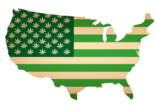 アメリカ政府関係者の11%が大麻を吸引