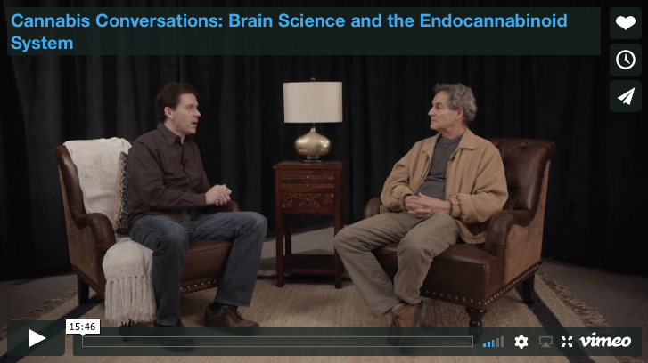 グレッグ・ガードマン・インタビュー：脳科学とエンドカンナビノイドシステム