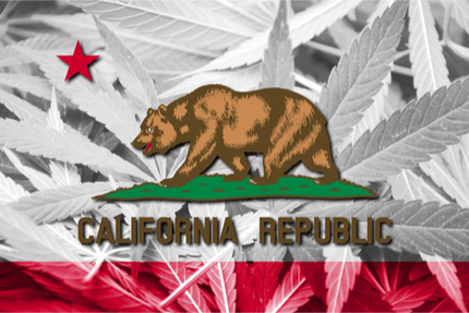 カリフォルニア州で嗜好用大麻が合法化：初日に起こったこと
