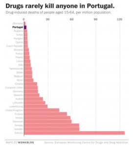 薬物を合法化を推進したら薬物中毒者は減少するのか？ 